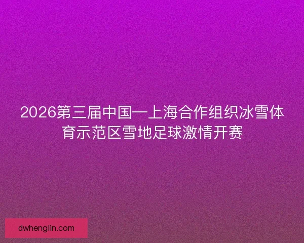2026第三届中国—上海合作组织冰雪体育示范区雪地足球激情开赛